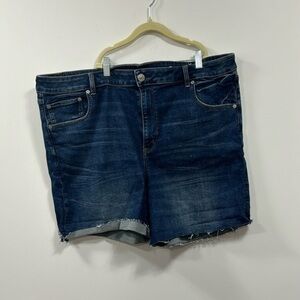 American Eagle Size 22 Jean Short